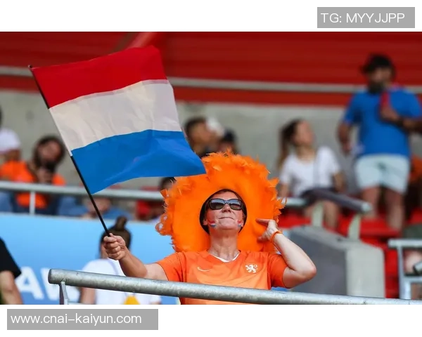 意大利与荷兰足球对决在线直播全程回放及精彩瞬间解析